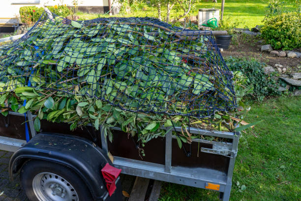 Best Shed Removal  in Hawaiian Acres, HI